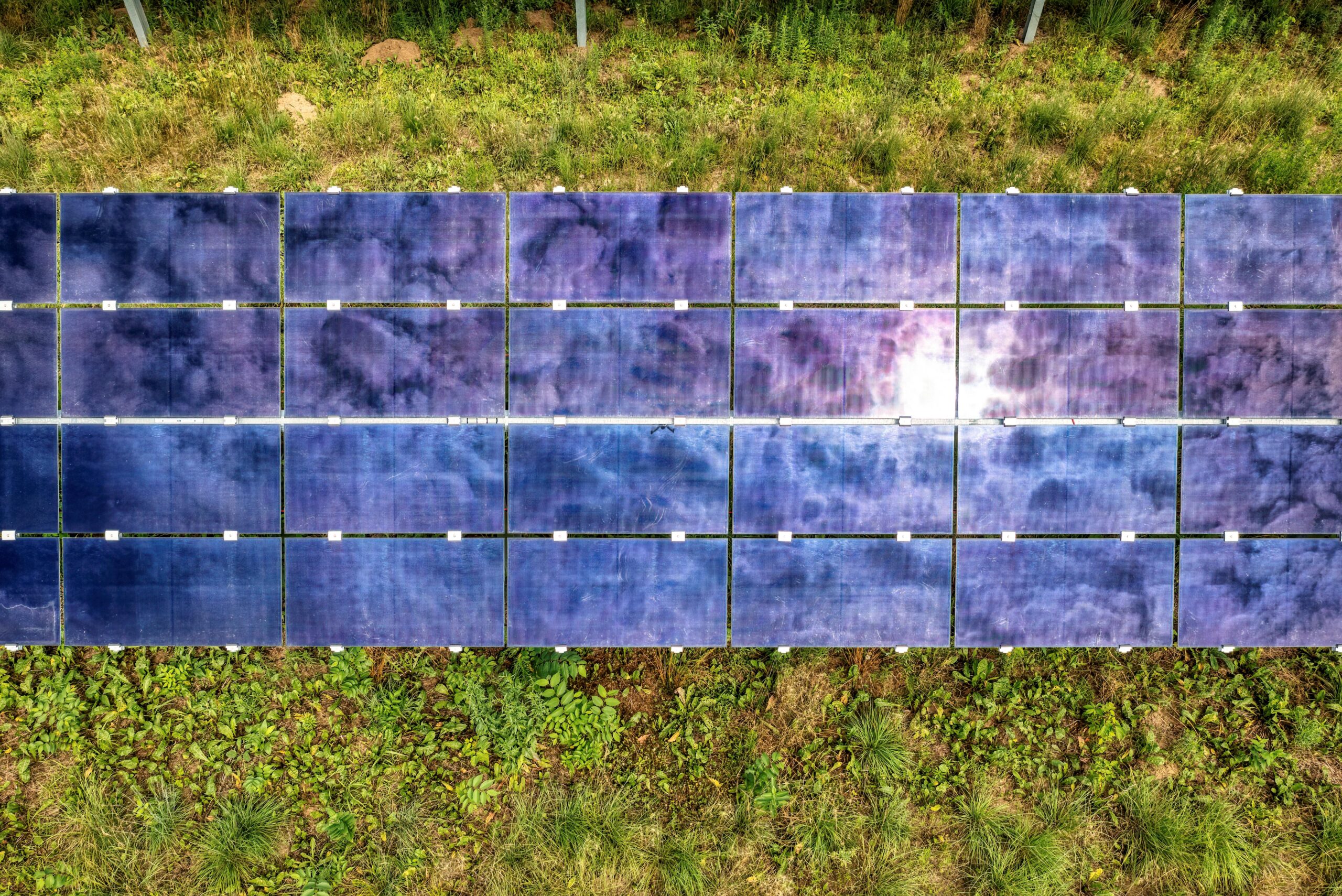 Top view of sustainable energy solar panels on a grassy field in Minnesota.